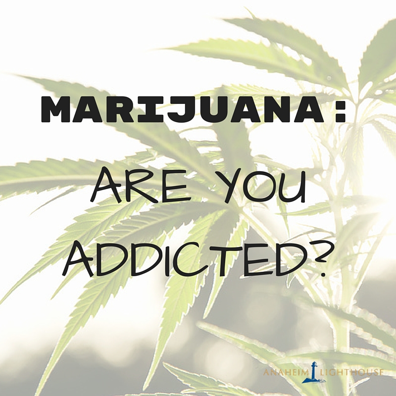 Marijuana are you addicted banner