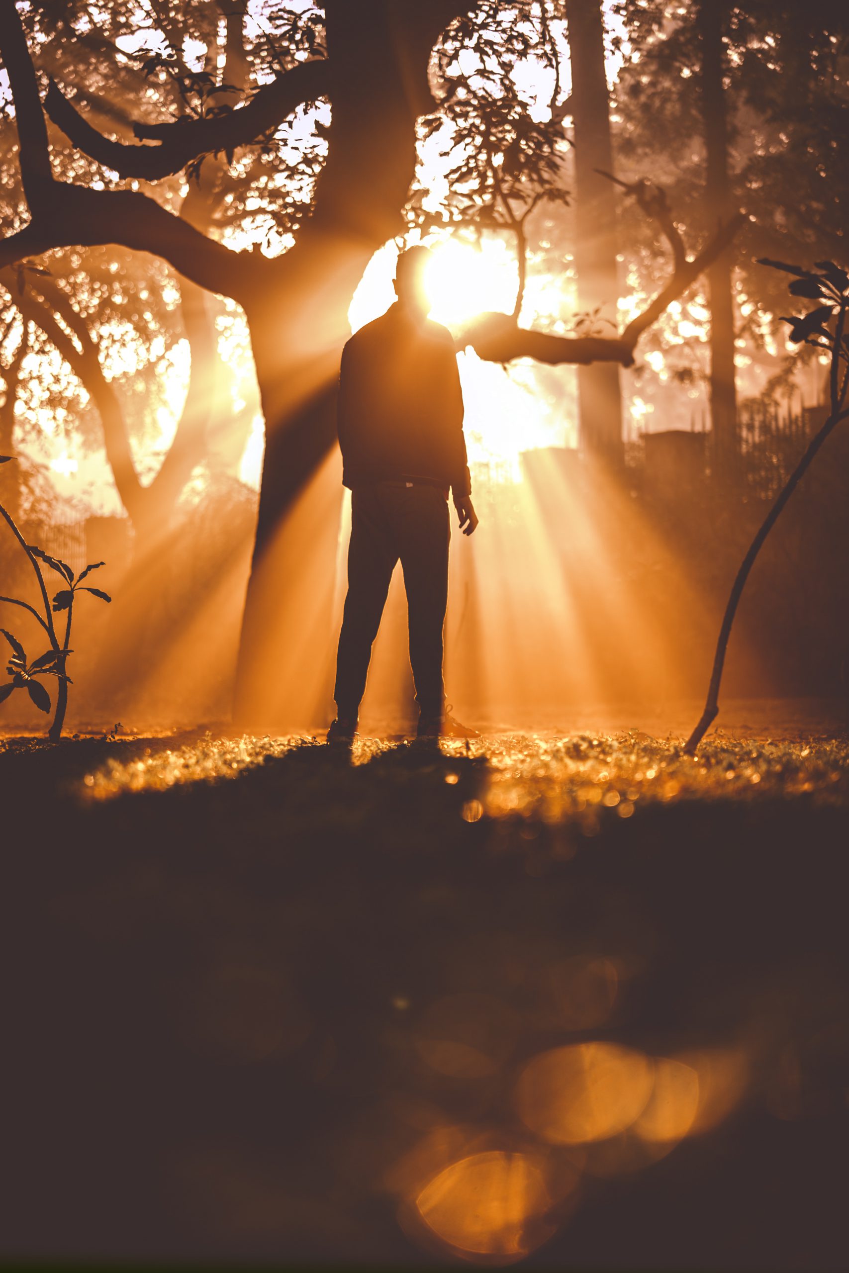 silhouette of a man in a forest at dawn during sunrise